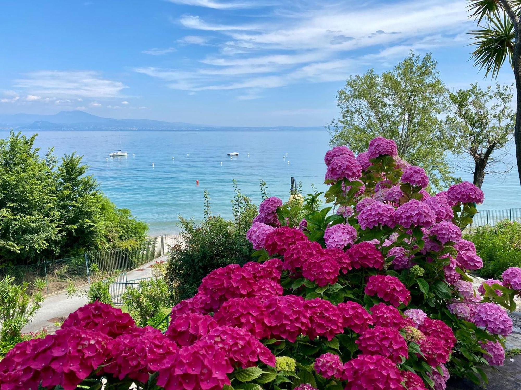 Front Lake Amazing View Manerba del Garda Exterior photo